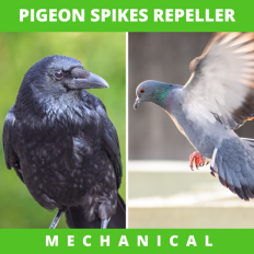 REPULSEUR DE PIGEONS 1M (A PICOTS)