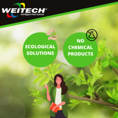 REPULSEUR DE PIGEONS 1M (A PICOTS)