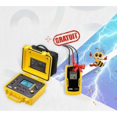 CHAUVIN_ARNOUX CA6543 MEGOHMETRE 50-100-250-500-1000V DAR/PI RS232