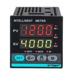 Regulateur de Temperature TE4SB10 SORTIE SSR