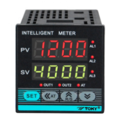 Regulateur de Temperature TE7-RB10 220v